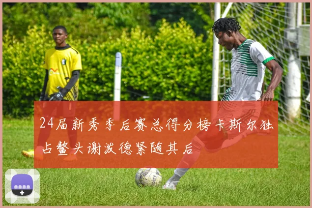 24届新秀季后赛总得分榜卡斯尔独占鳌头谢泼德紧随其后